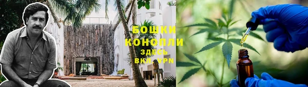 прущие грибы Снежинск