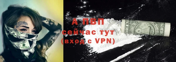 прущие грибы Снежинск