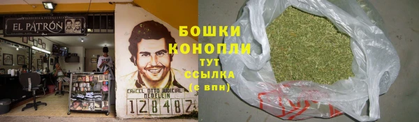 прущие грибы Снежинск