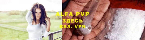 прущие грибы Снежинск