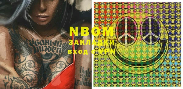 прущие грибы Снежинск