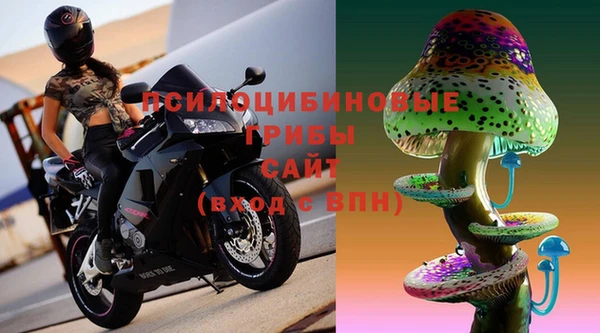 прущие грибы Снежинск