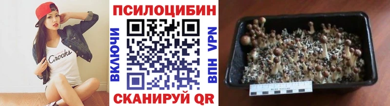 Галлюциногенные грибы Cubensis  Купить  Тбилисская